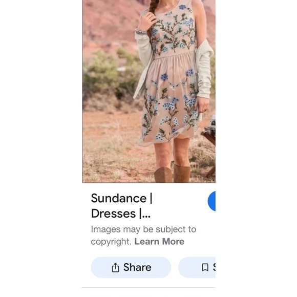 Women's Sundance L Sleeveless Dress Mesh‎ Overlay W/ Embroidered Forget Me Nots - Picture 6 of 7